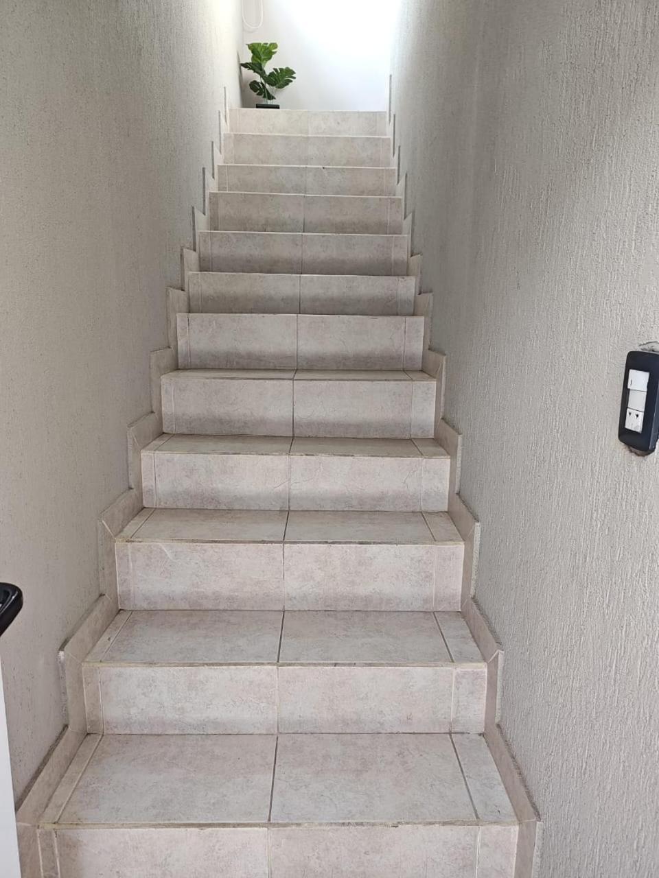 Bv Colon 351 1 Apartment Firmat
